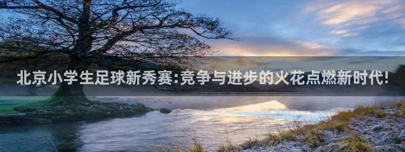北京小学生足球新秀赛:竞争与进步的火花点燃新时代!